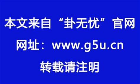 1982屬|1982年属什么生肖